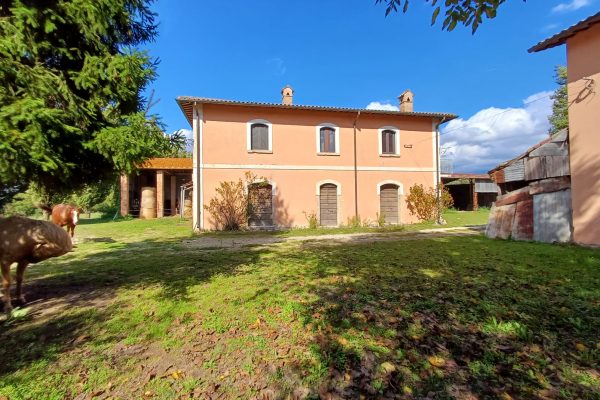 AZIENDA AGRICOLA